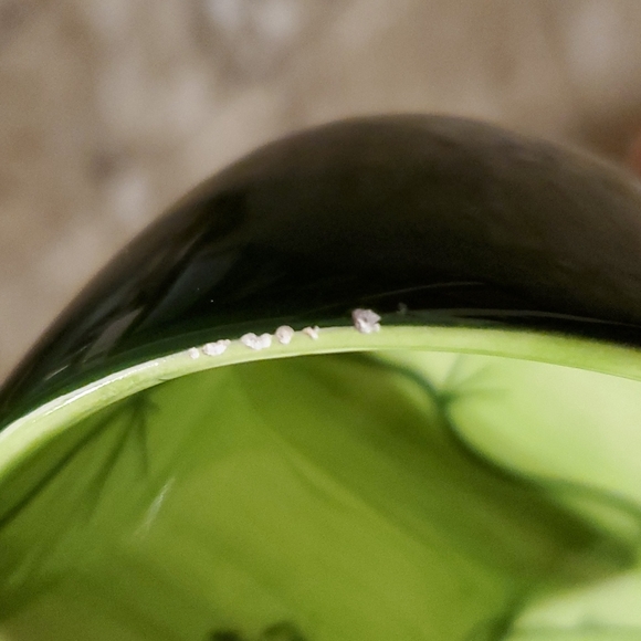 17. VNTG SHONFELD'S USA INC SMALL CACTUS BOWL-8"x6.5"x2"-GREEN-HAND-PAINTED-EC - Picture 5 of 6